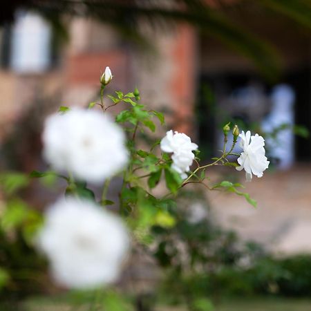 Villa Rappis Империя Экстерьер фото