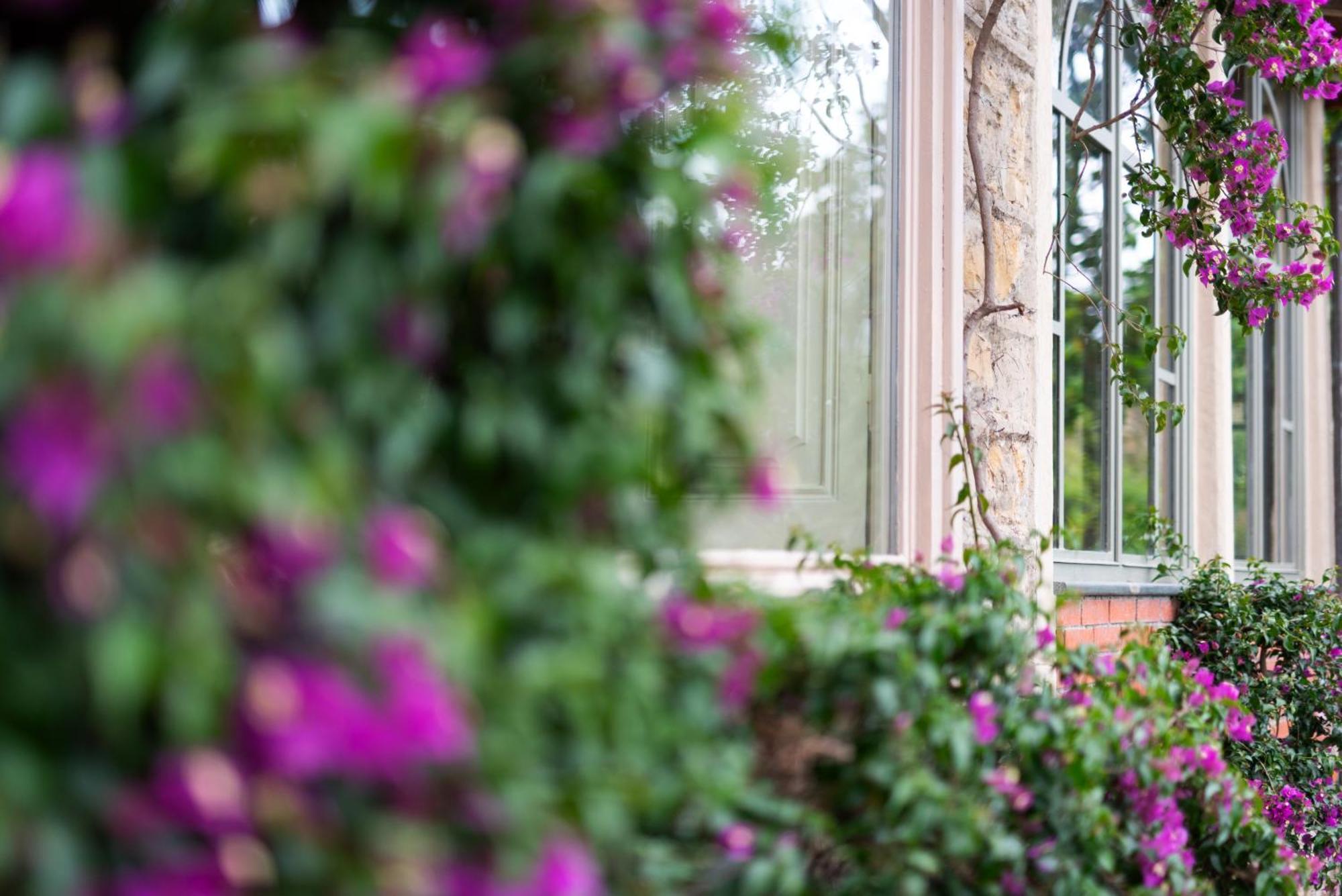 Villa Rappis Империя Экстерьер фото