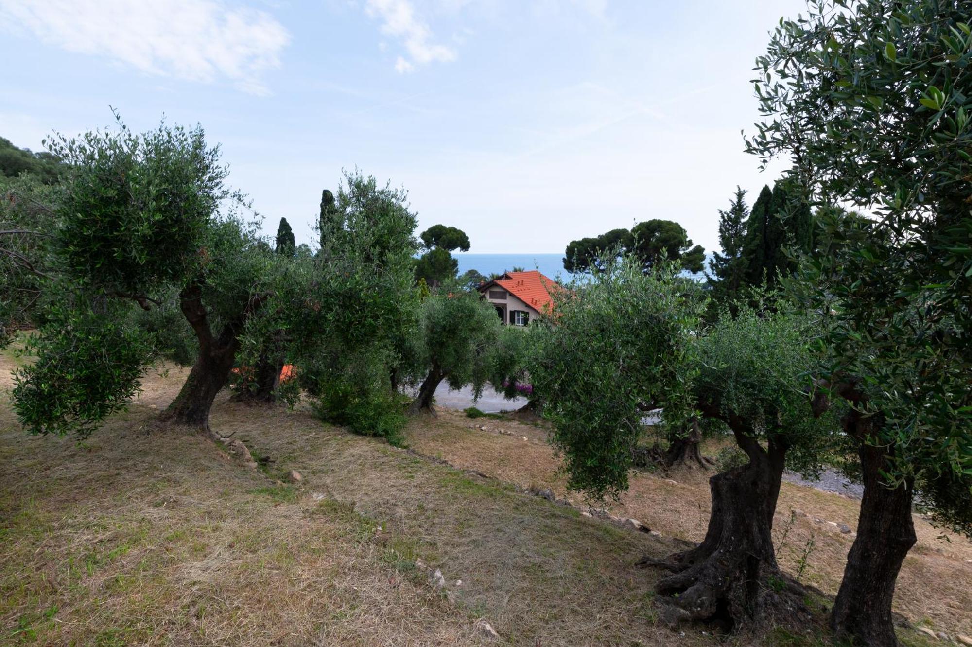 Villa Rappis Империя Экстерьер фото